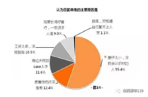 人口承受量_大理人口流入量图片