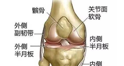 成语承什么膝_成语故事图片(2)