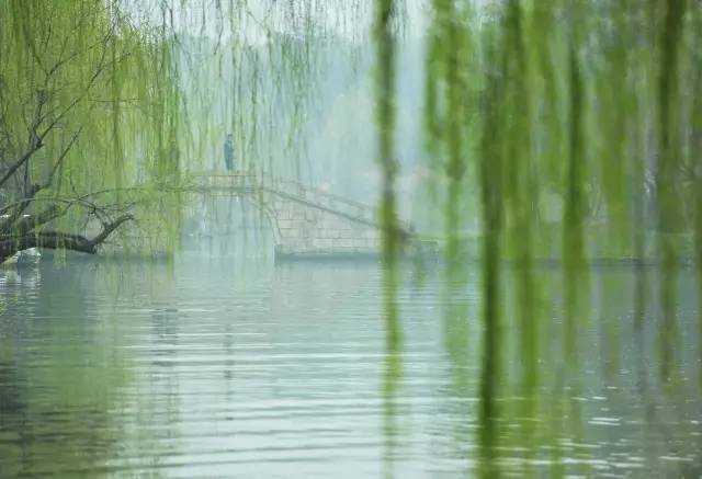 江南雨真有那么诗情画意吗?