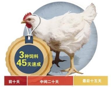麦当劳停用抗生素鸡为啥未包含中国?