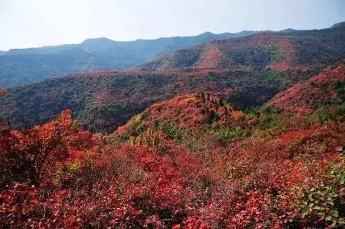 (注:香山,位于西礼交界山峰之顶,属礼县景区.