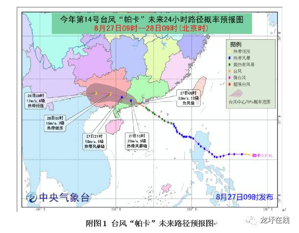 关于启动龙圩区防御台风Ⅲ级 应急响应的通知