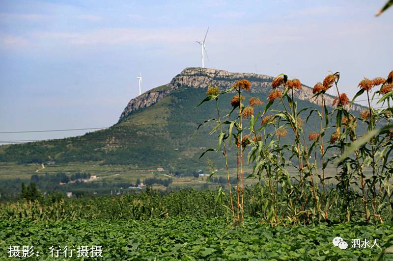 新发现没想到泗水的废铁矿如今变成了生态园