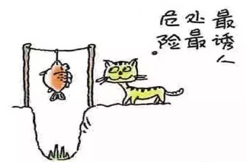 猫咪被鱼刺卡了怎么办