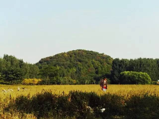 粟山孤耸于村落和林田之中,春草滴露,夏日映翠,秋风染黄,冬裹雪洁,举