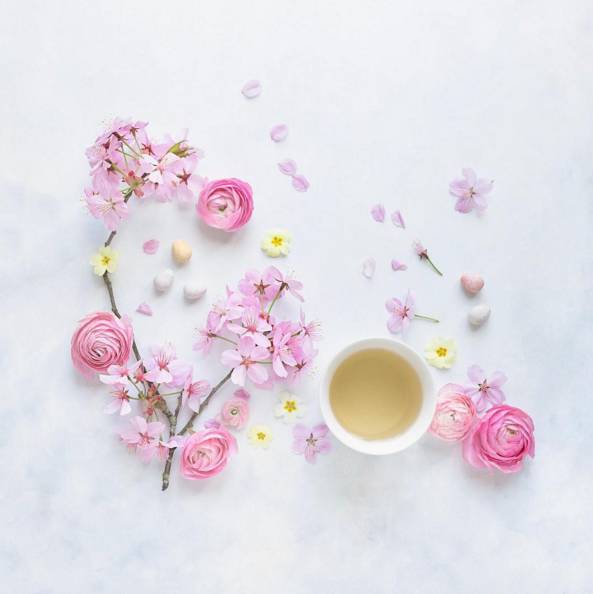 一杯清茶,一朵花,一份悠闲.