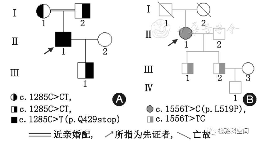 两个遗传性凝血因子Ⅻ缺陷症家系临床表型和基因型变化的分析