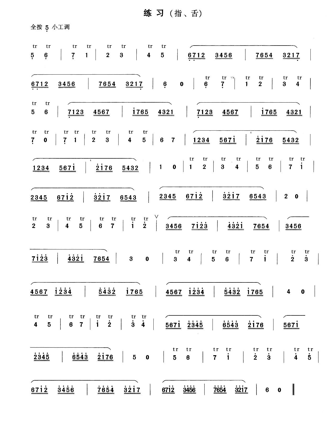 【颤音二】新爱琴·从零开始学竹笛