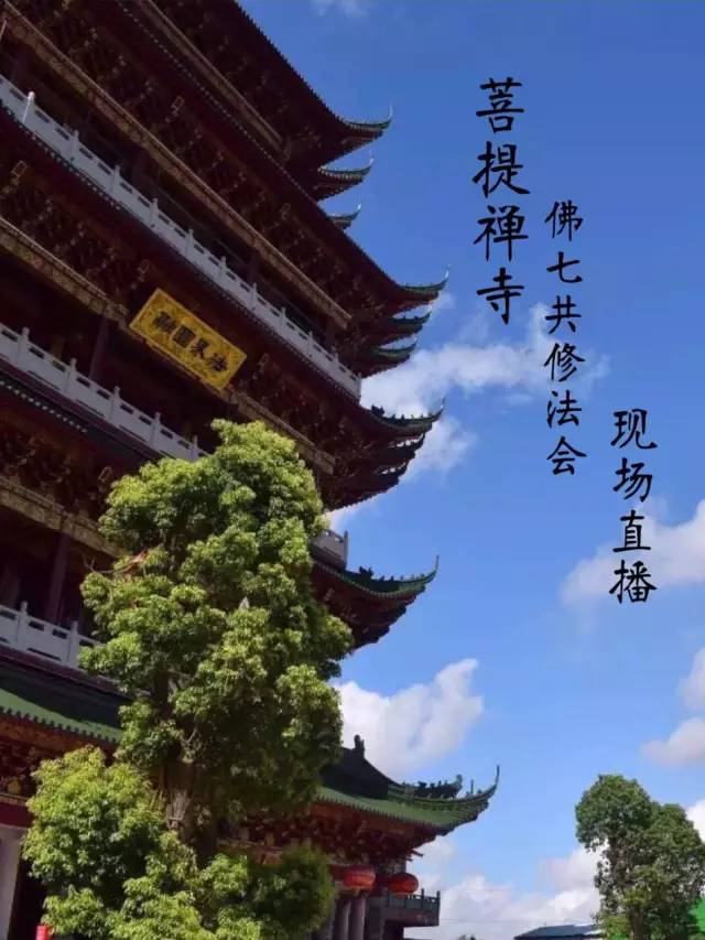 潮阳菩提禅寺丁酉年第三届佛七共修法会