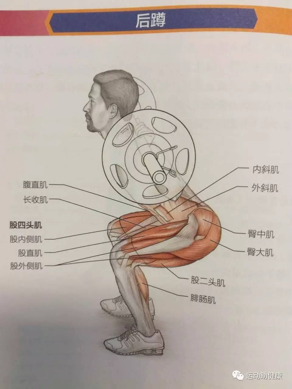 篮球运动中腿的力量训练方法