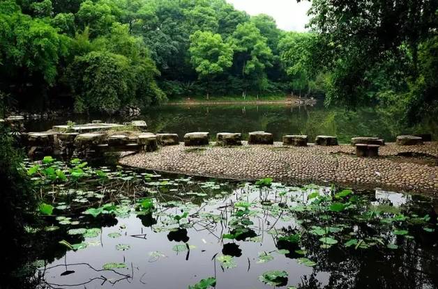 那么,地处沙坪坝市中心的沙坪公园 将给你闹中取静的悠闲.