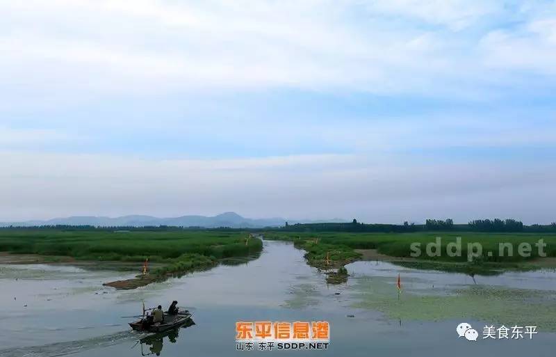 京杭运河八里湾船闸,东平湖区段航道,大清河航道,泰安港东平港区及