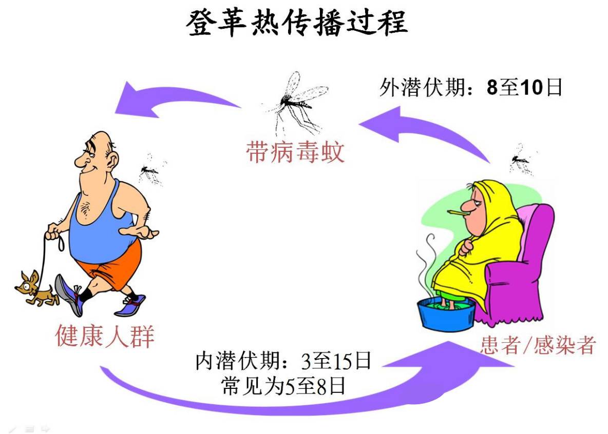 预防登革热图片素材-编号29033018-图行天下