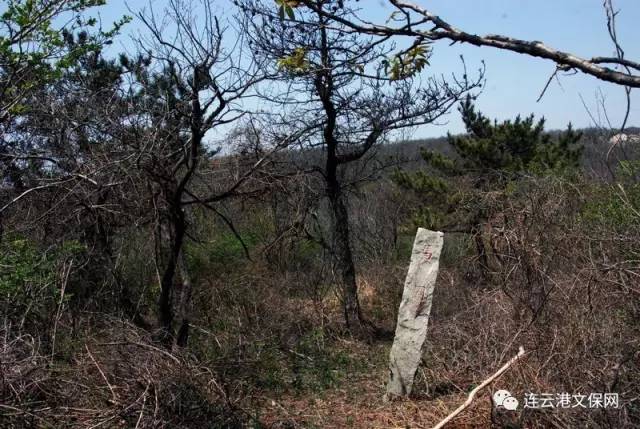 现如今,人们去东磊游玩通常会选择顺着云台山南麓的公路,沿南城,九岭