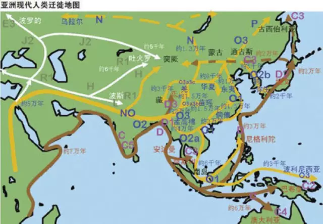 非洲人口迁移_10万年前现代人类开始走出非洲时人口数量还不到一百万 如今全