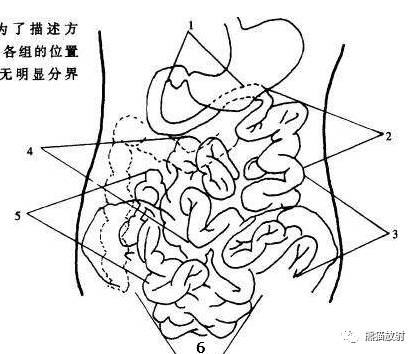 小肠的运动形式主要是分节运动和蠕动.