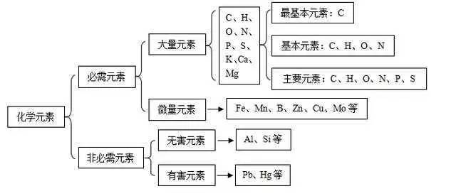 生物开学送上一份知识结构图捋清脉络学习更高效