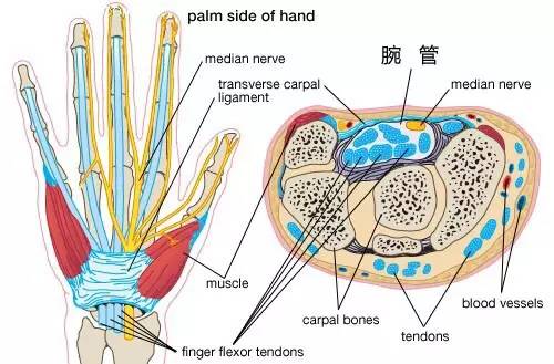 【专业分享】"从头到脚"的纯干货