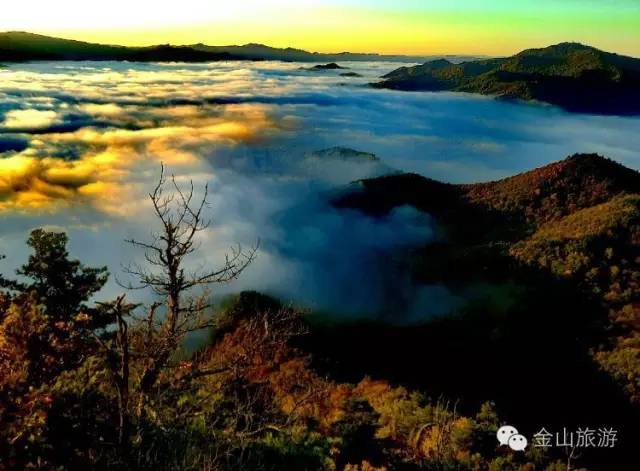 伊春○金山屯▏醉在金祖峰的秋天里