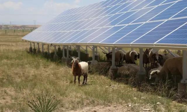 解秘全球最大太阳能发电综合技术实证试验基地