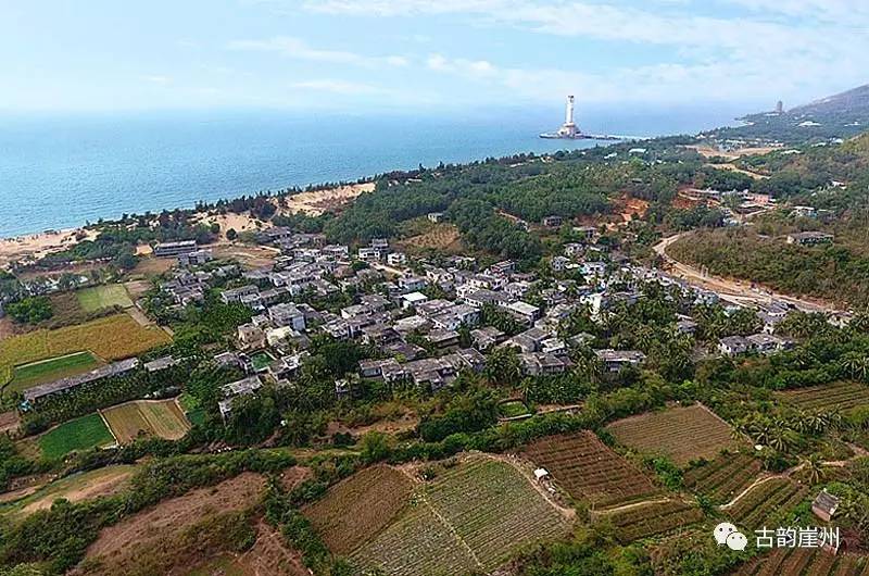 8月鹿城,古树参天,鸟鸣花香,位于三亚市南山景区旁的南山村内绿树阴浓