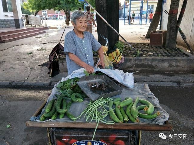 安阳八十岁老奶奶为补贴家用每天街头卖菜!