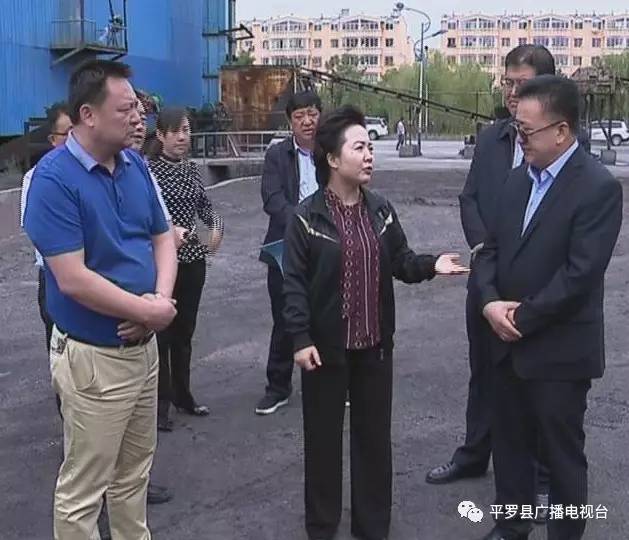 平罗县长马莉方调研中央第八环境保护督察组反馈问题整改情况