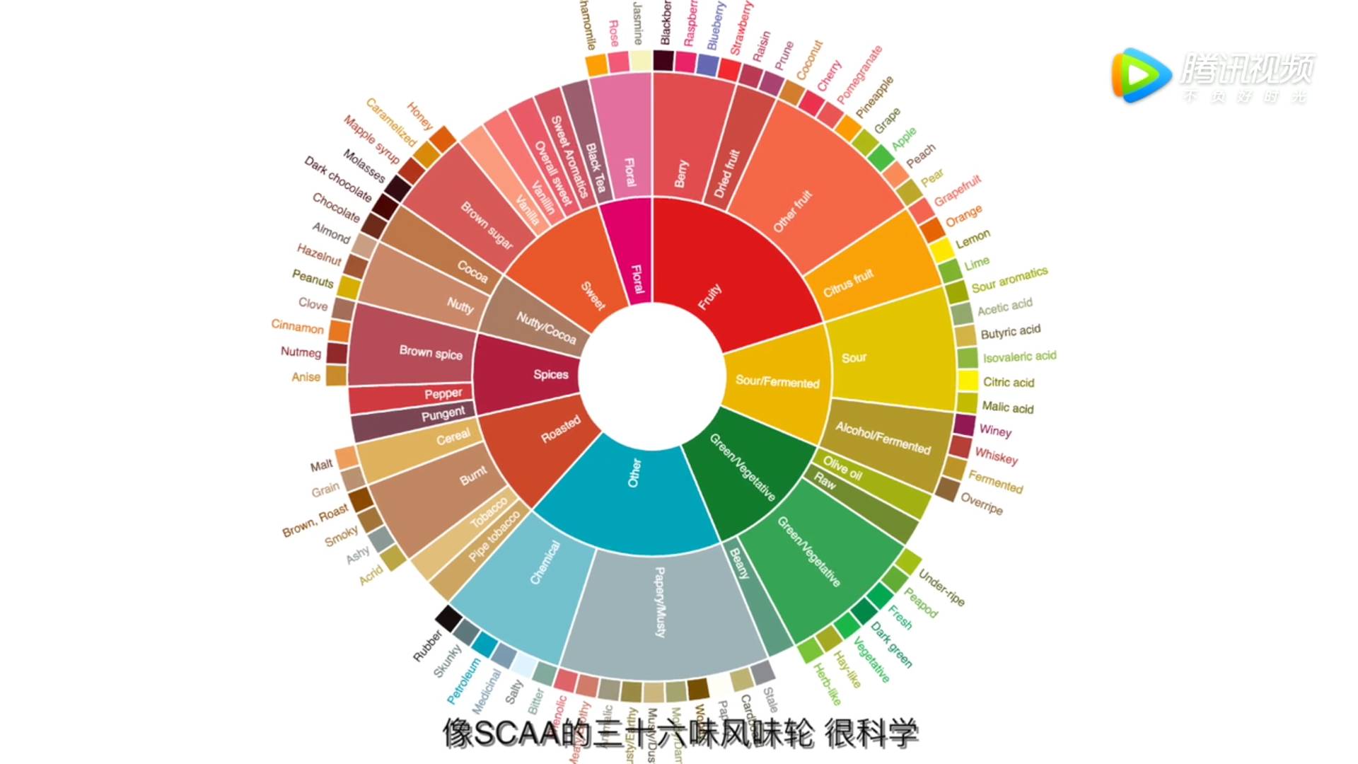 台湾版咖啡风味轮与scaa 36味风味轮对比台湾咖啡风味轮发明者台湾