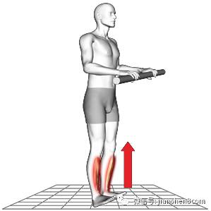 跑步小腿前侧酸痛可能是你的胫骨前肌在作祟