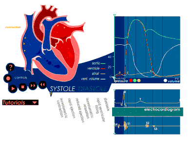 12导同步动态心电图对心律失常分析