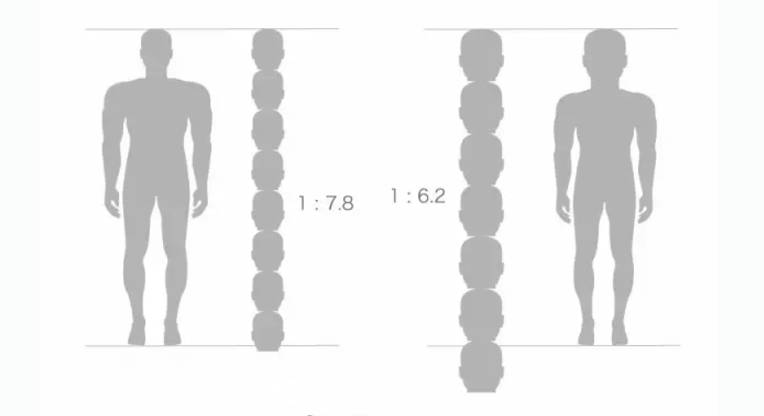 道理很简单,因为 同等身高下,头身比例(头长/身长)小的人看上去显得更