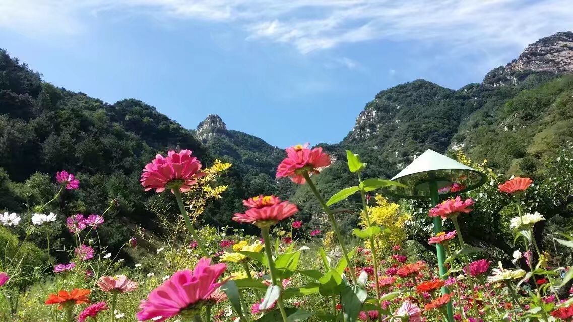 【周日】9月3日灵寿漫山花溪谷休闲一日游(余位39个)