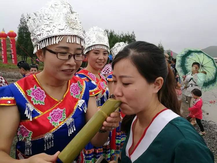 普合乡普驮屯人口普查_人口普查