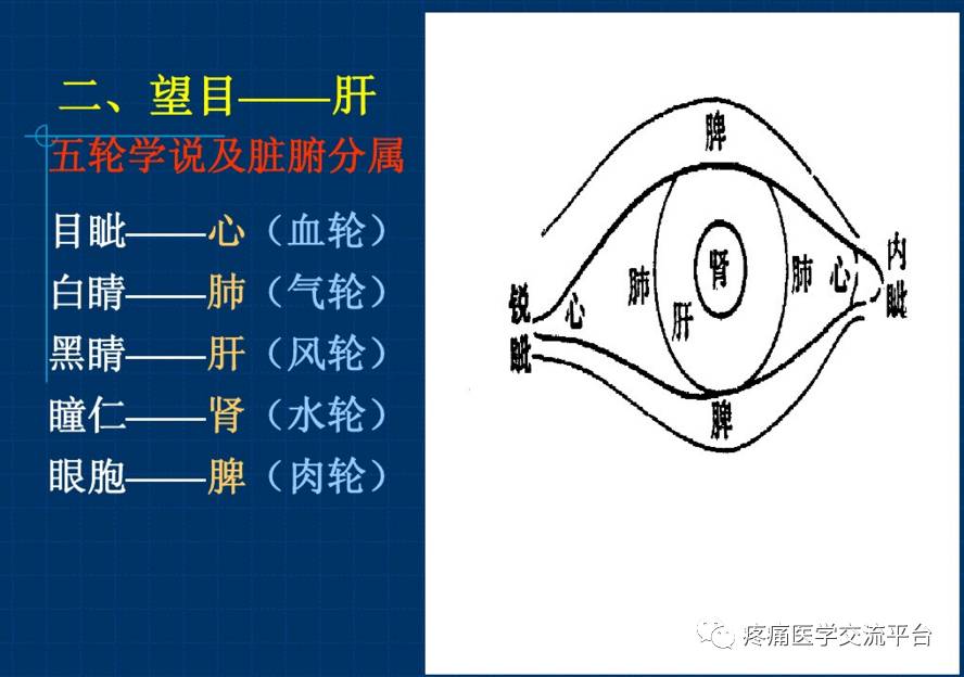 本次课程侧重于中医耳诊,面诊,眼诊,手诊要点,相应知识及方式,方法