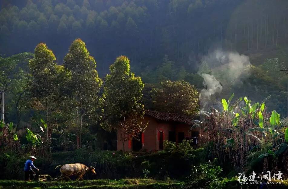 惠安人口常住_常住人口登记卡(3)