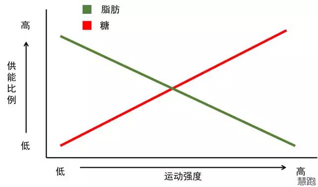 蛋白开线减肥的原理_减肥同时还想增加肌肉 高蛋白质摄入才是关键(2)