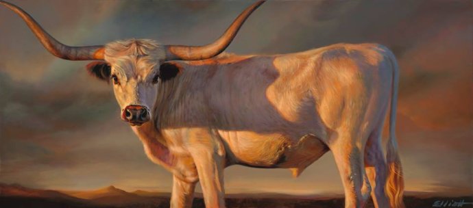 美国画家 teresa elliott 油画作品欣赏 - 牛!