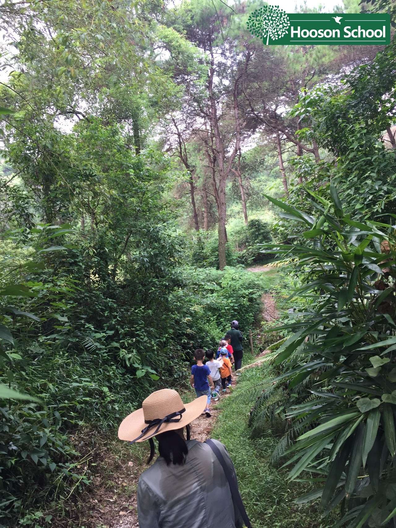 森林营地怎么搭_森林旅居营地