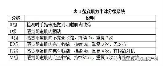 快来看看,你的盆底肌力是几级?