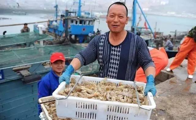 吃海鲜啦!秦皇岛开海倒计时,海鲜去哪买最划算