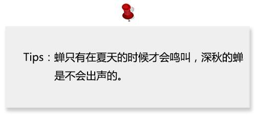 美观什么成语_成语故事图片(2)