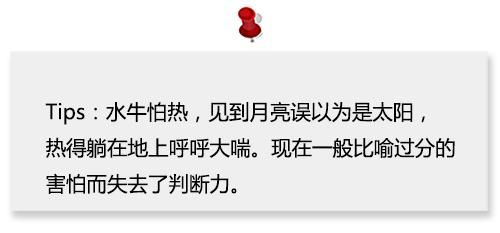 美观什么成语_成语故事图片(2)