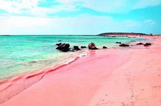 护照再升值!世界上唯一的粉色沙滩和全球最有钱的国家都免签啦!_搜狐旅游_搜狐网