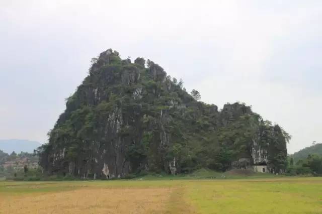 阳江多少人口_阳江海陵岛(3)