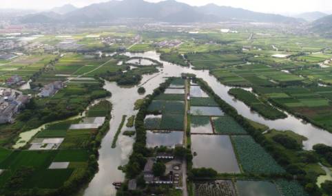 鉴洋湖城市湿地公园概念规划方案评审会召开,高品质的城市后花园可期!