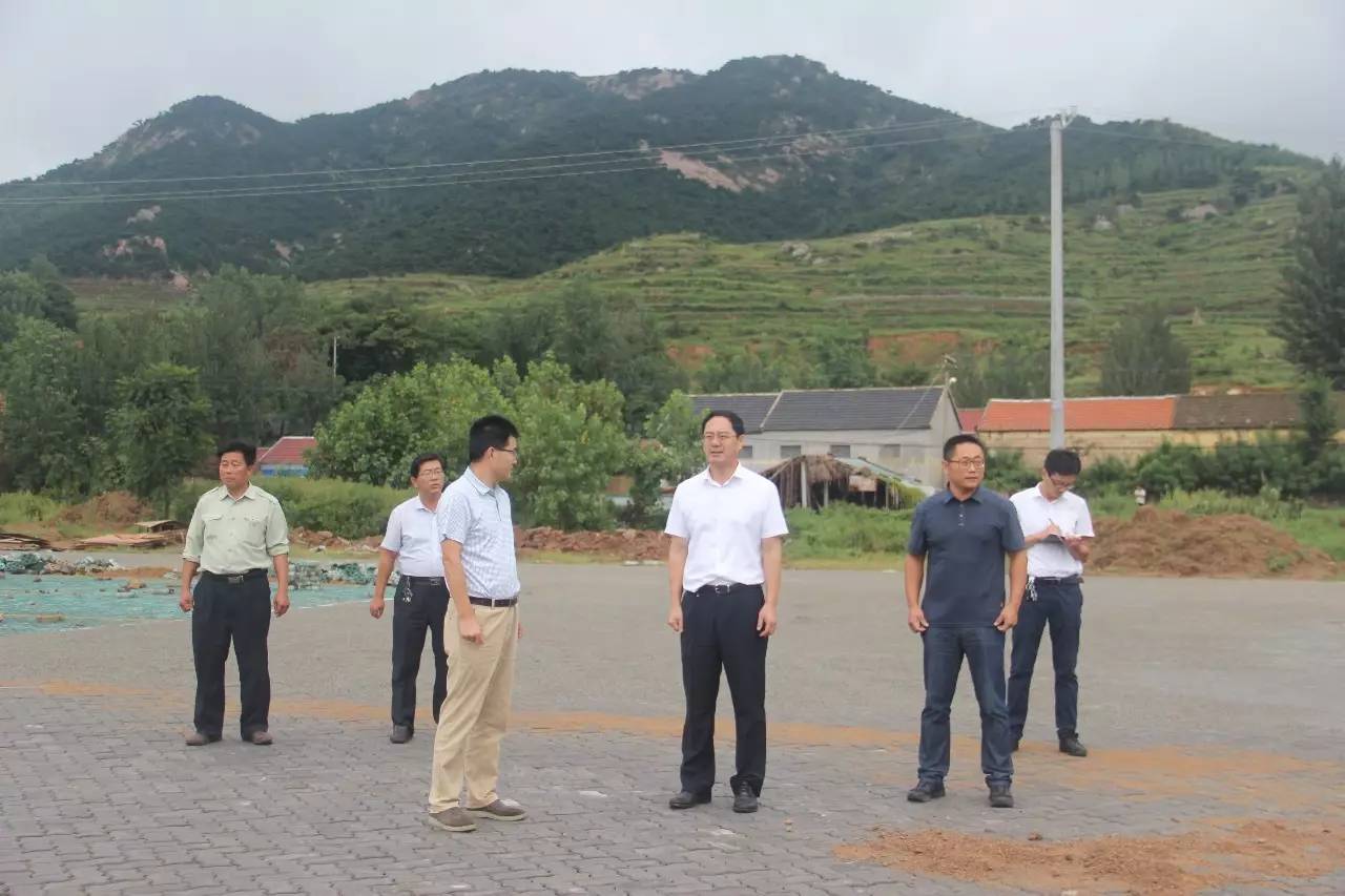 在马亓河西村▲李仲强一行先后到鸡山沟村,马亓河