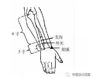 常用针灸穴位定位及主治详解学中医的基本操作技能