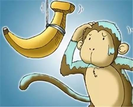 扔香蕉喂猴子猜一成语_小猴子吃香蕉边走边扔