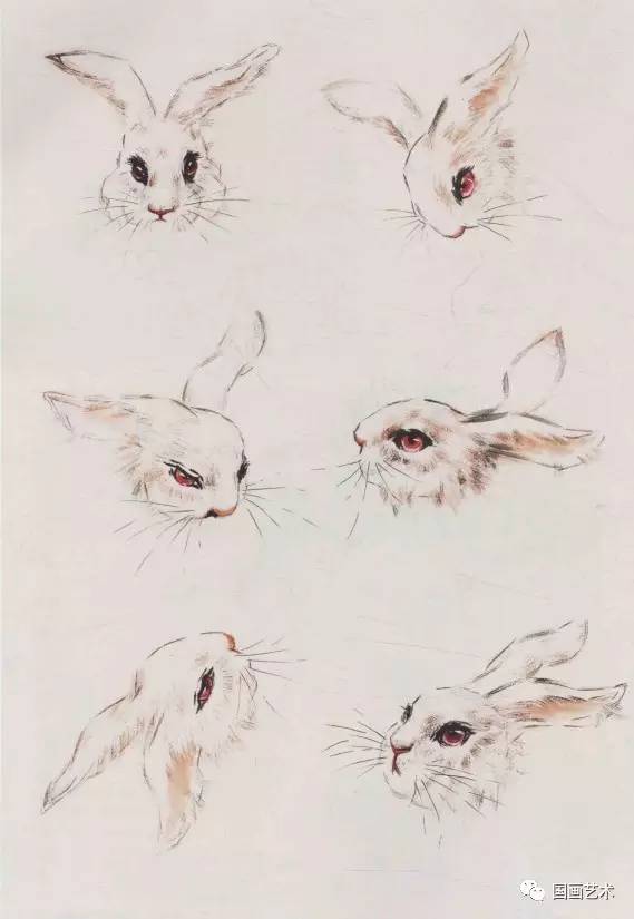 2.兔子眼睛的画法