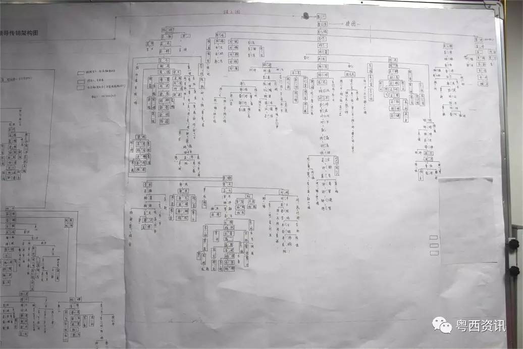 1040出局老总的真相_长寿一宝出局老总图片(3)